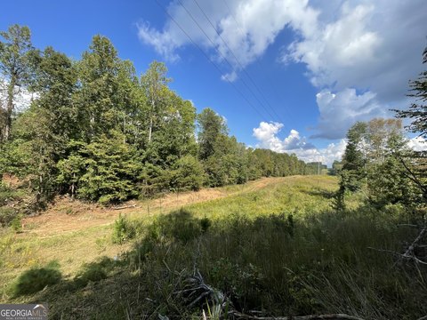 Gainesville Land with Creek