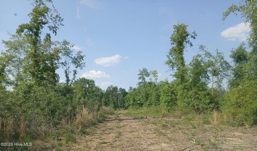 Picture 6
