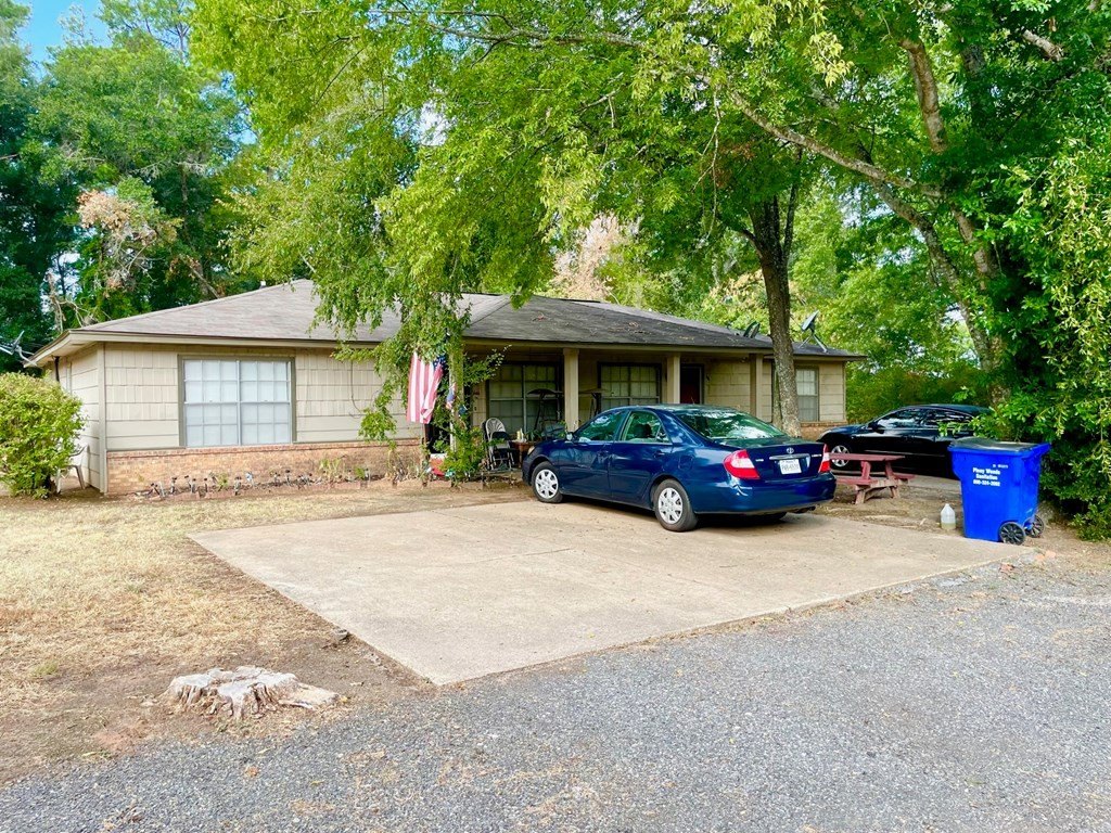 Picture 4