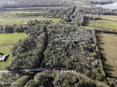 Nearly 12-Acre Wooded Property