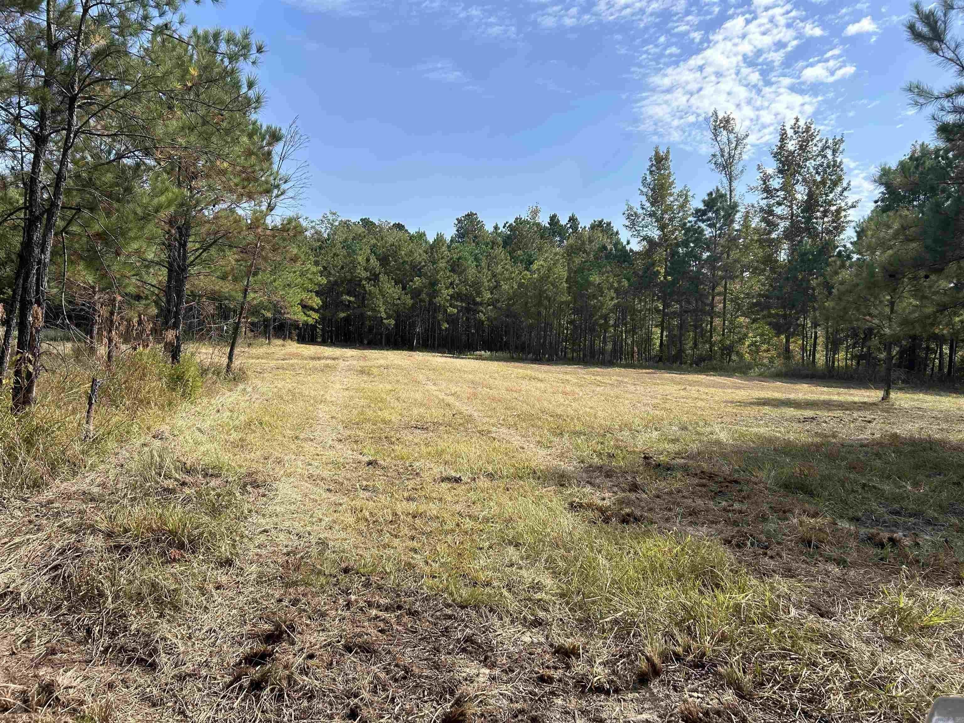 Hunting Land Near Ouachita River