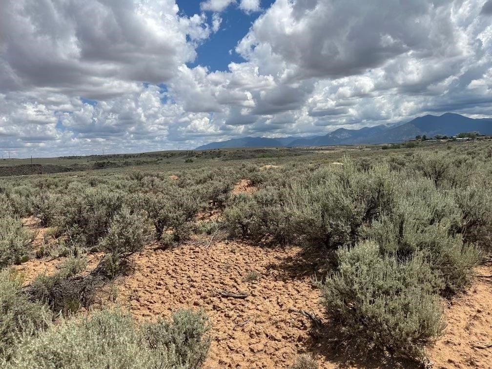 Land with Mountain Views