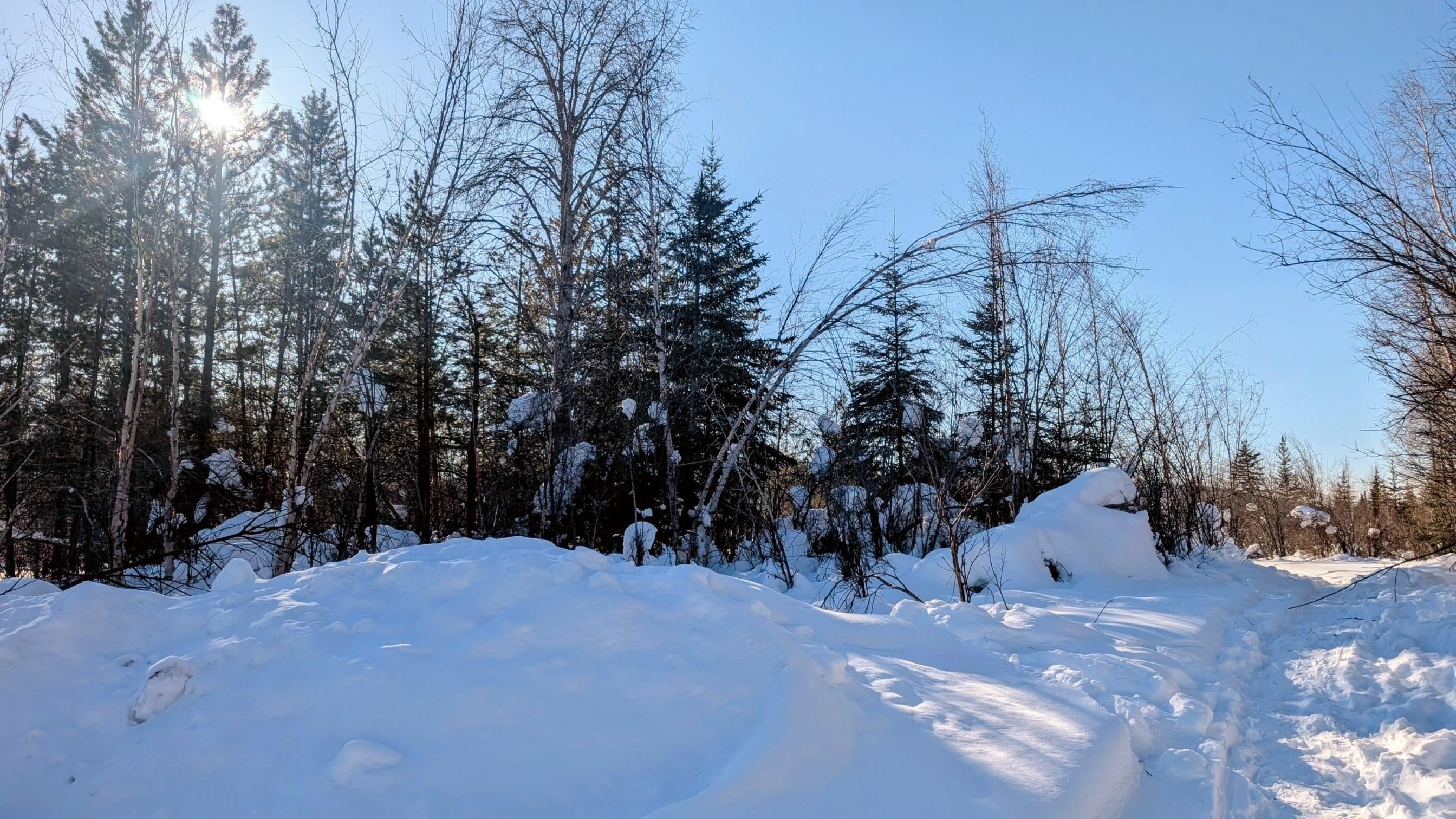 Fairbanks Land with Trail Access