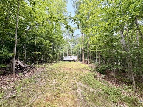 LAND - McMillan, MI