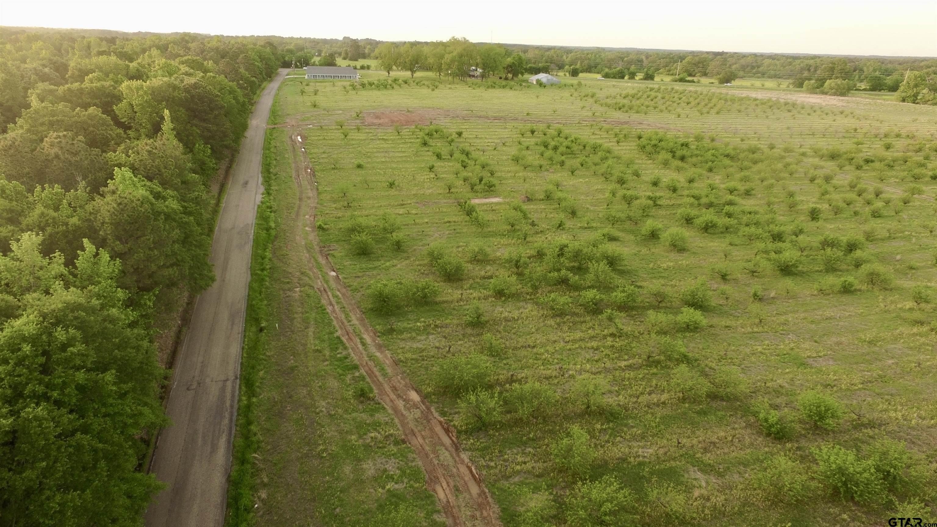 Residential Land in Pittsburg, TX