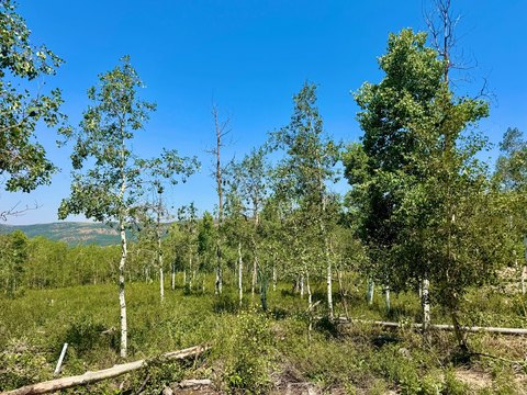 LAND - Heber City, UT