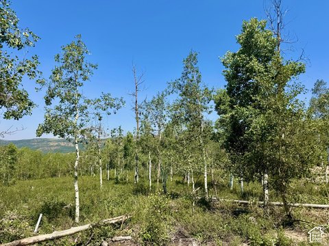 Land, Heber City, UT