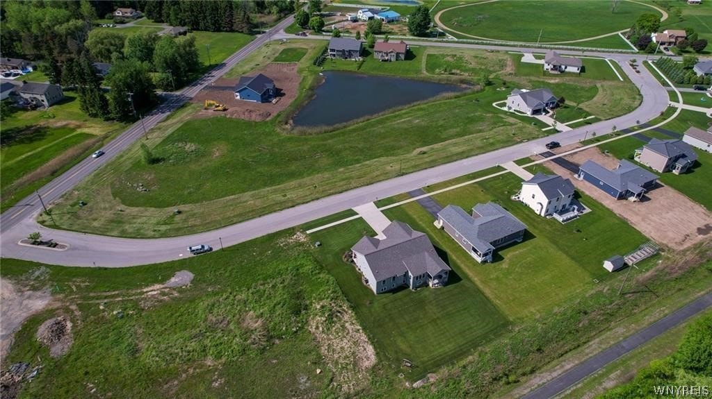 Picture 6