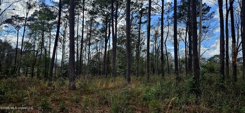 Land, Poplarville, MS