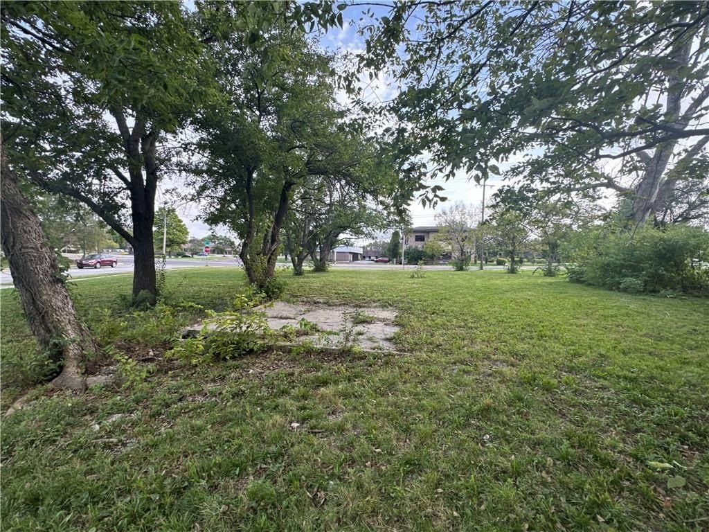 Picture 15