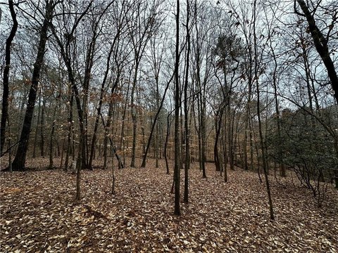 LAND - Valley, AL