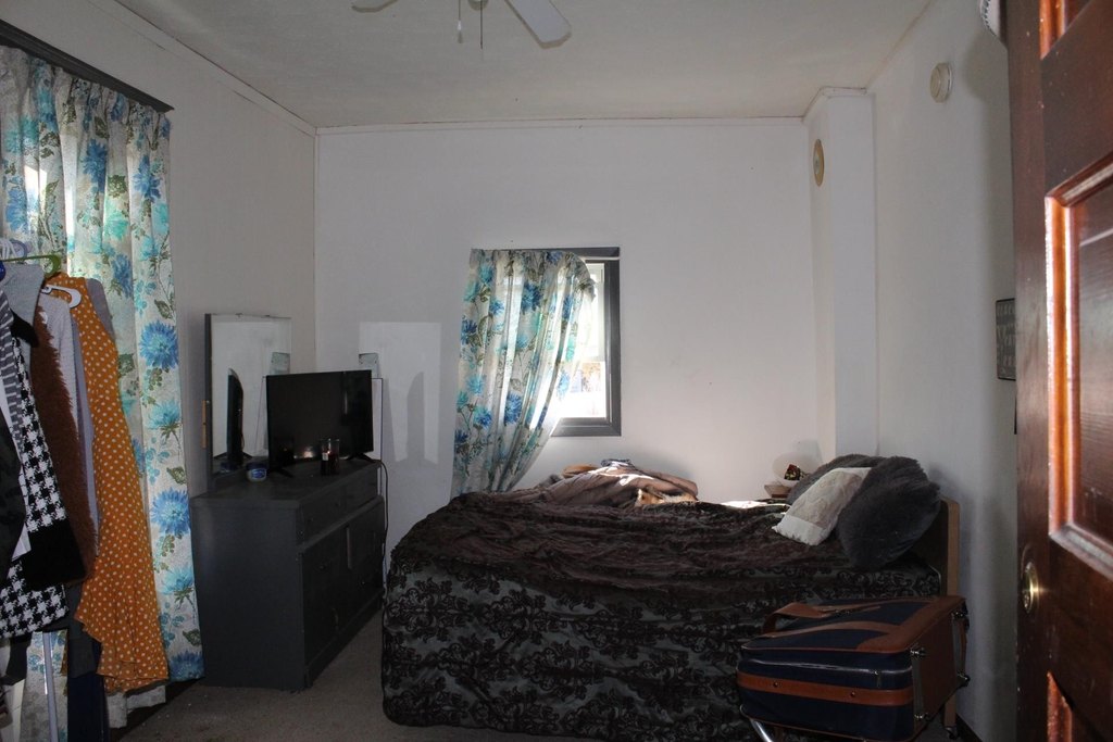 Picture 19