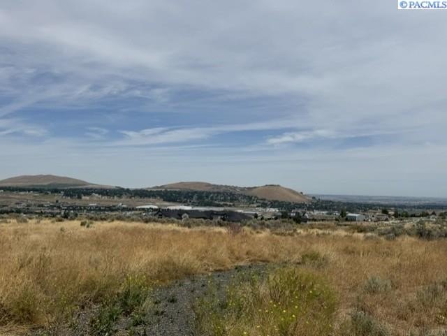 Picture 3