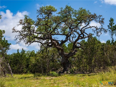 Texas Hill Country Acreage Retreat