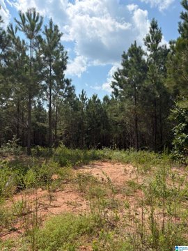 Cleared Residential Building Lot