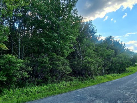 LAND - Fallsburg, NY