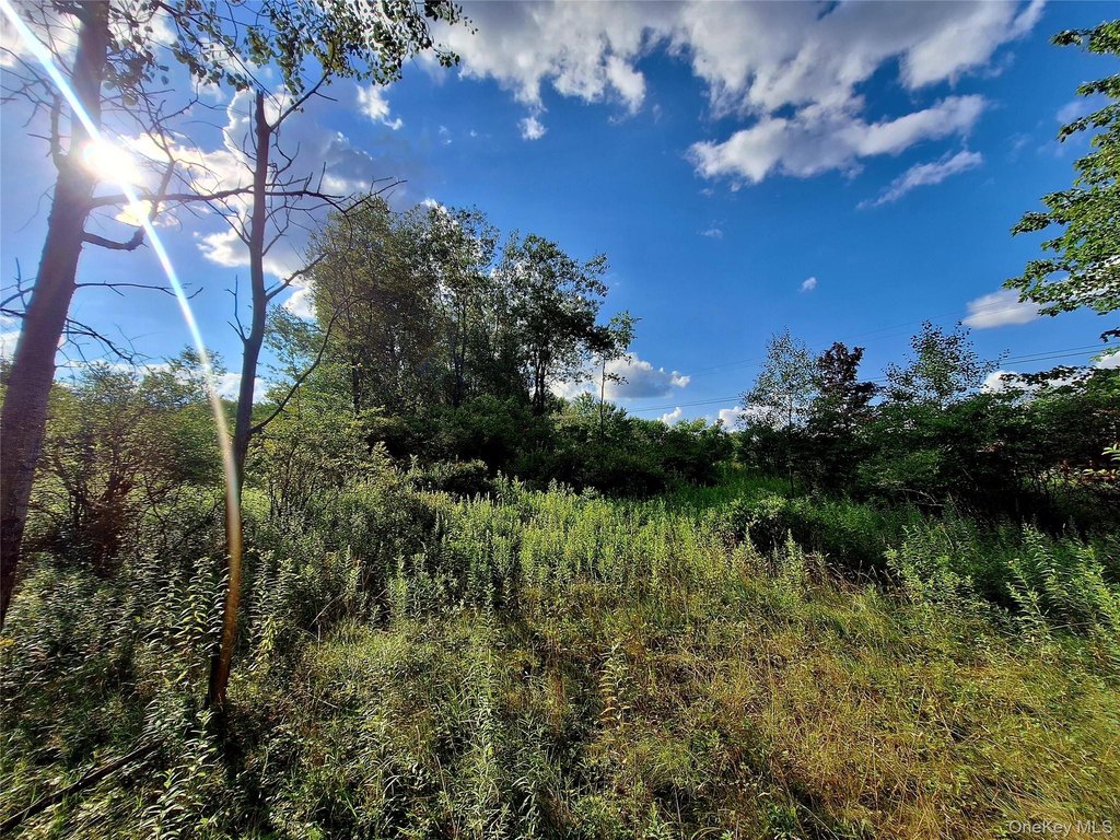 Picture 11