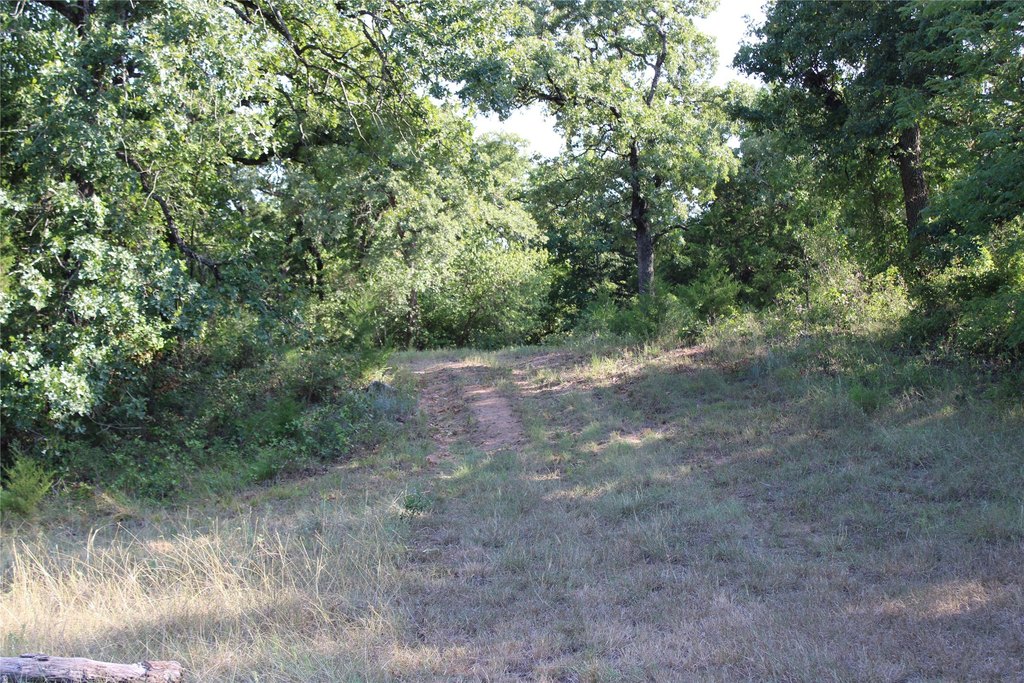 Picture 4