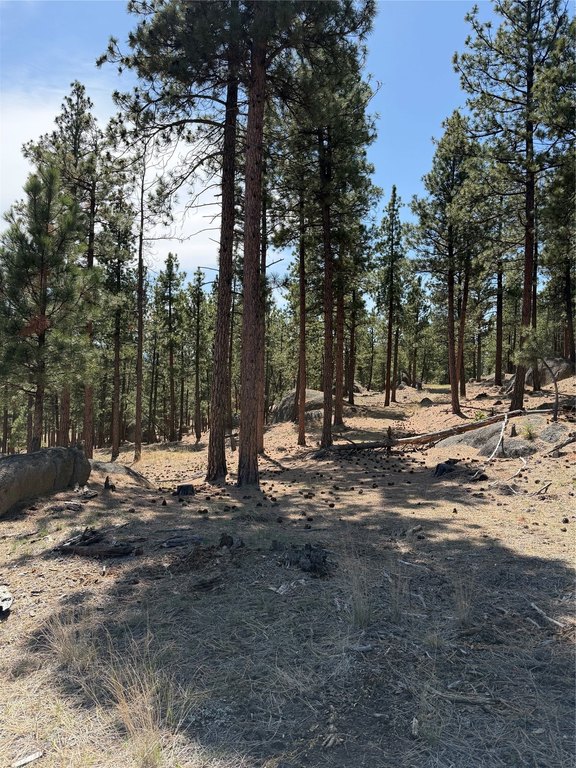 Picture 18