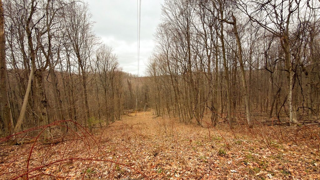 Picture 15