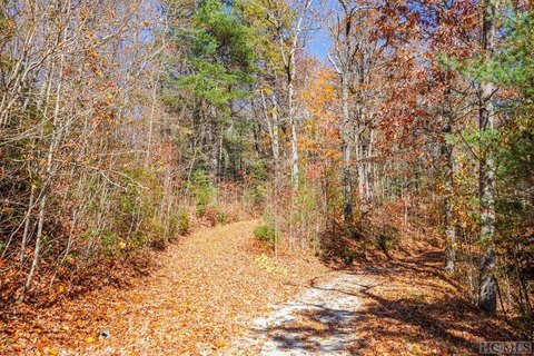 Scaly Mountain Wooded Land For Sale