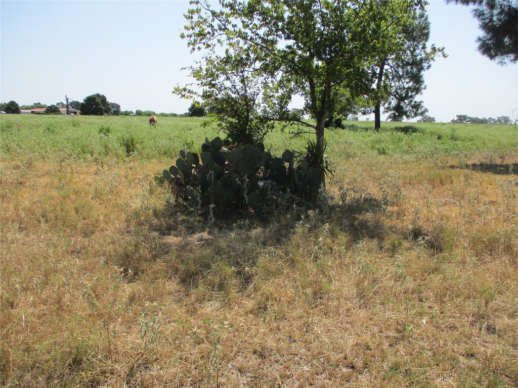 Picture 9