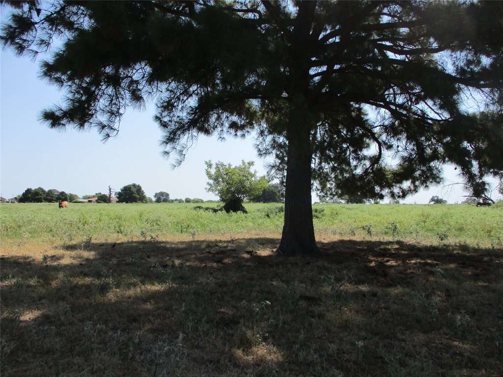 Picture 6