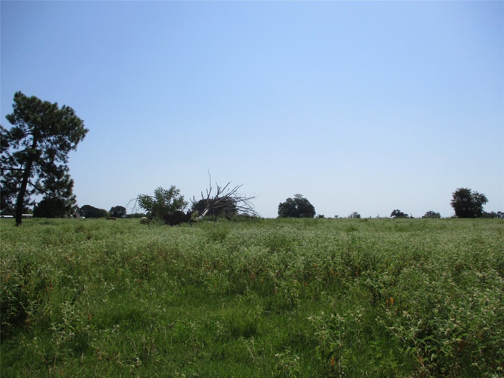 Picture 4
