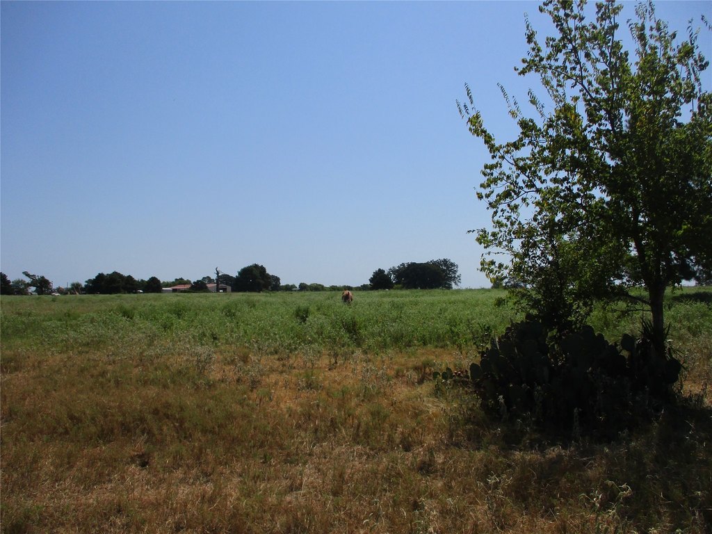 Picture 7