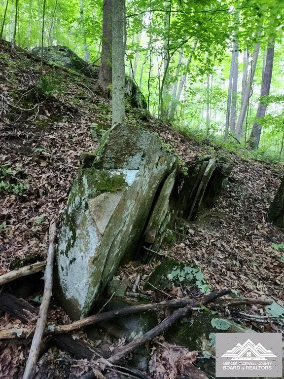 Picture 32