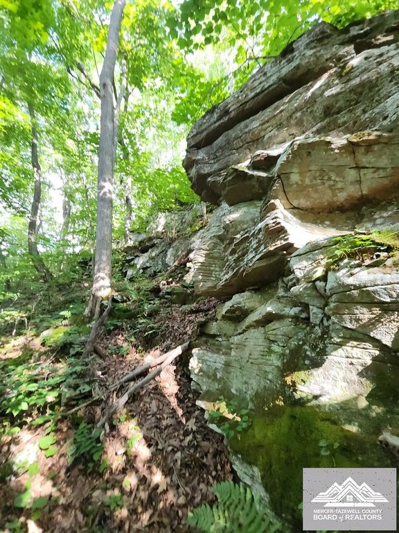 Picture 8
