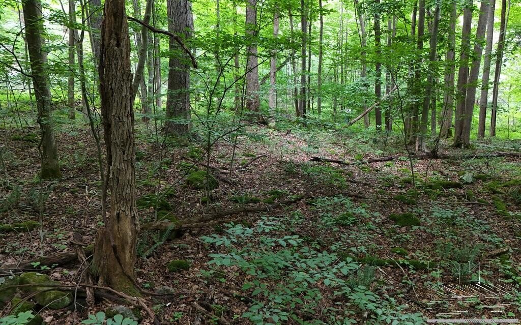 Picture 27