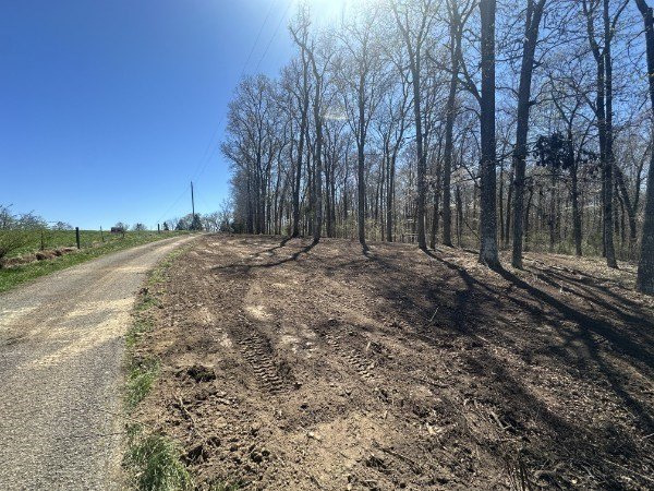 Picture 2