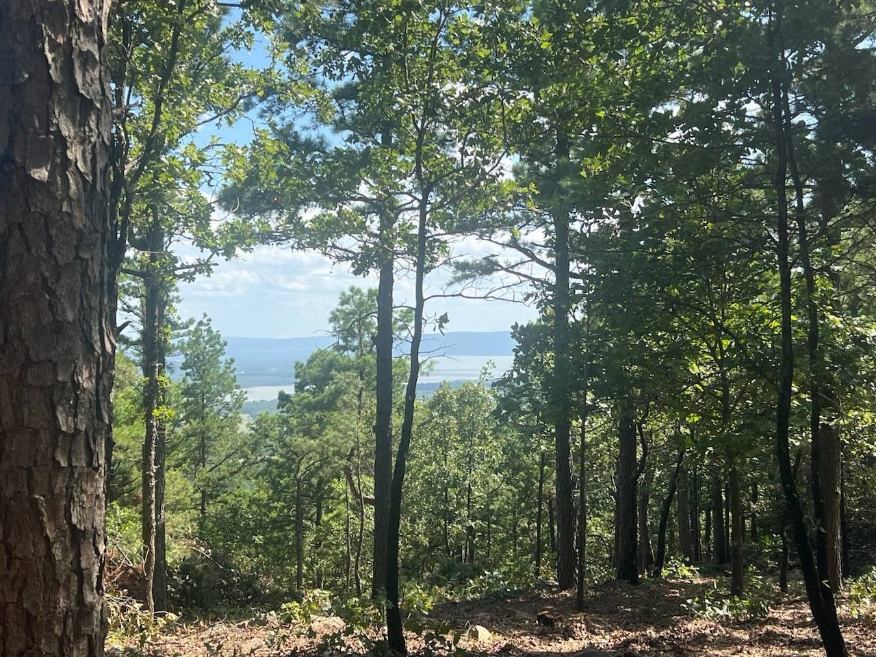 Land with Lake View