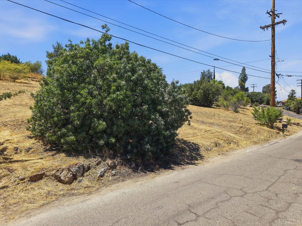 Picture 18