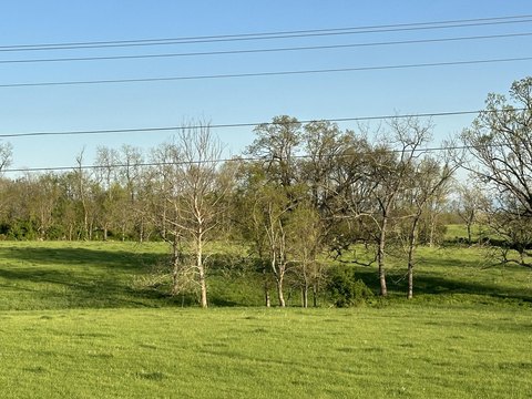 Georgetown Land Ready To Build