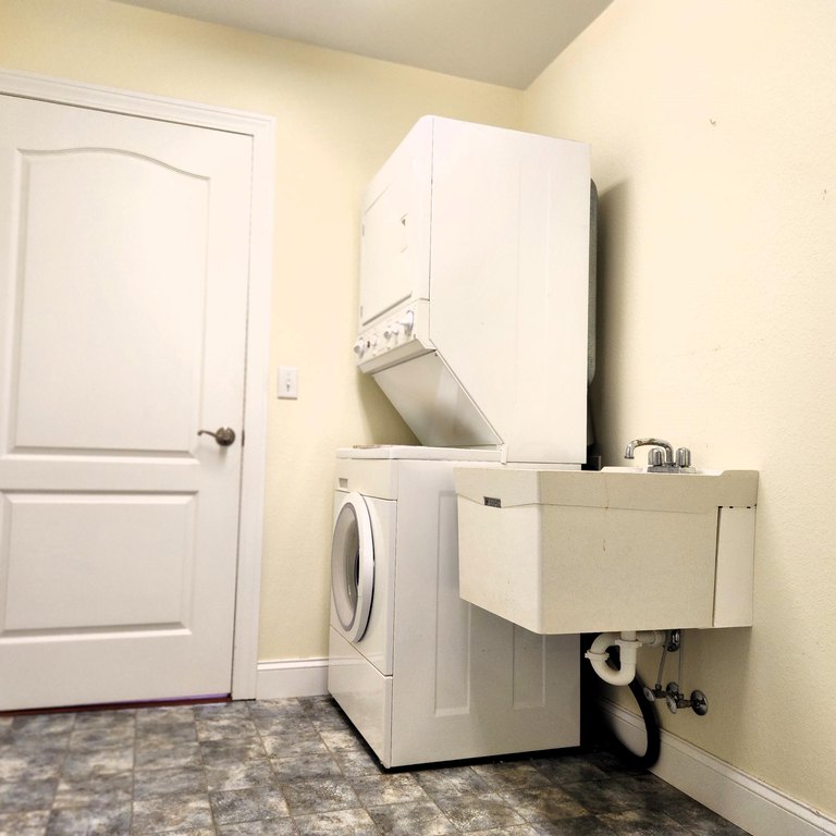 Picture 24
