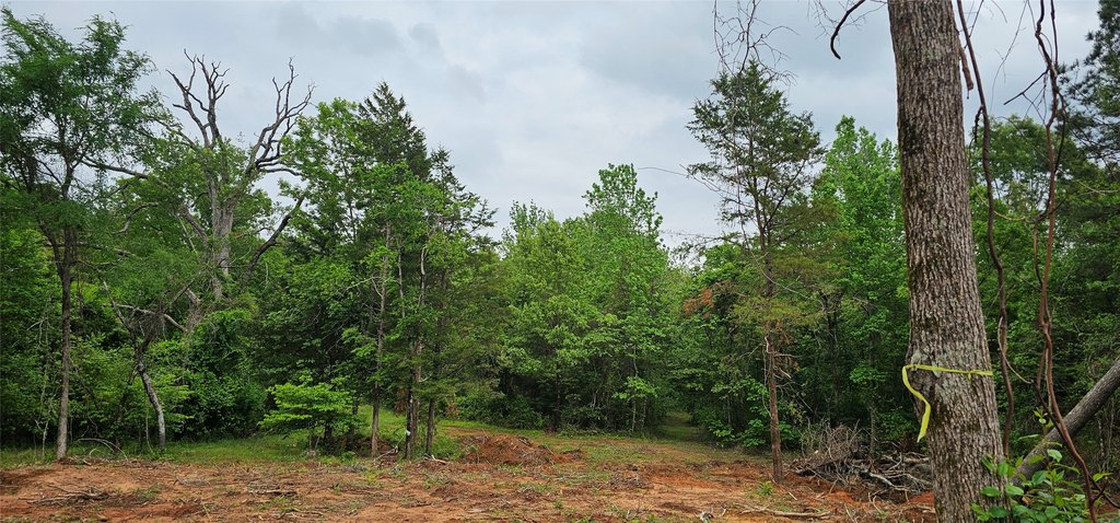 Picture 5