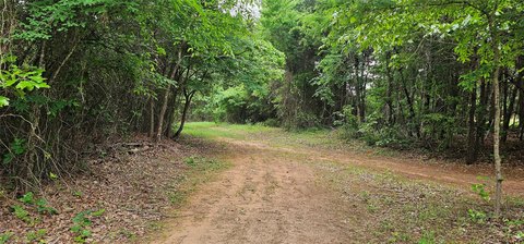 Recreational Hunting Land with Clearing
