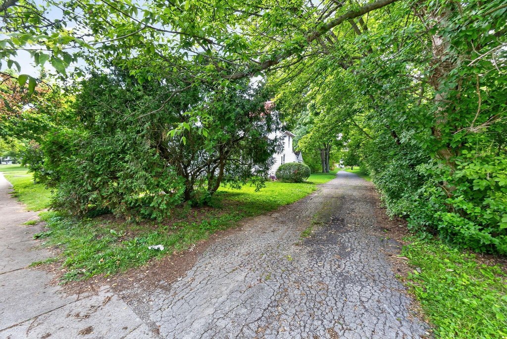 Picture 25