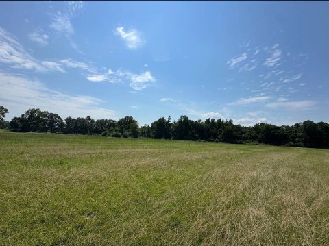 Land Tract with Pasture and Timber