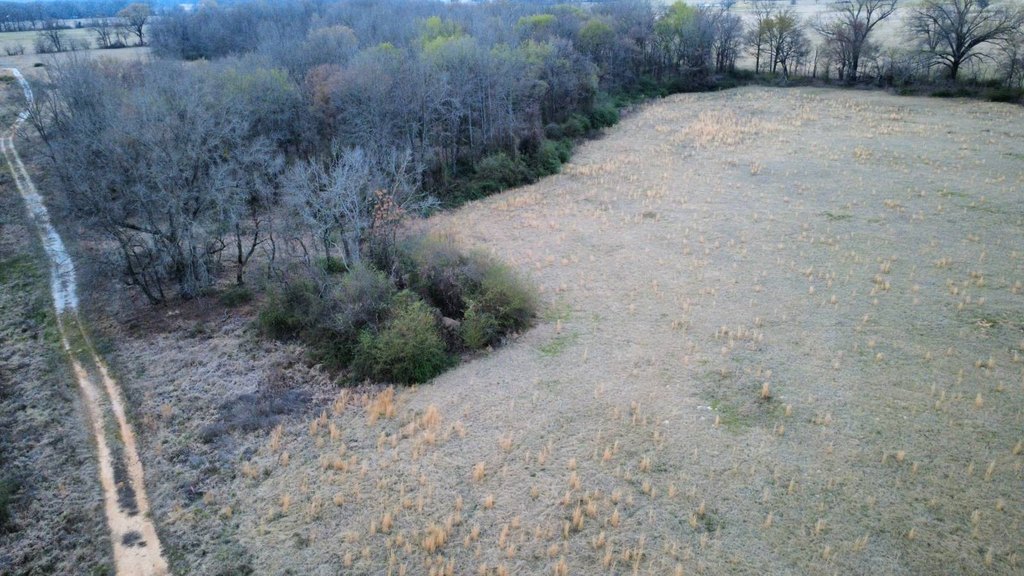 Picture 4