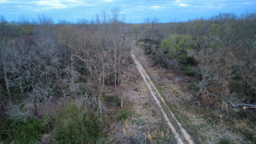 Picture 33