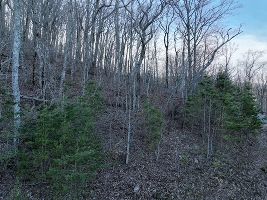 Picture 9