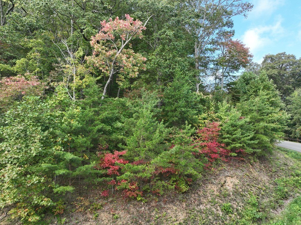 Picture 20