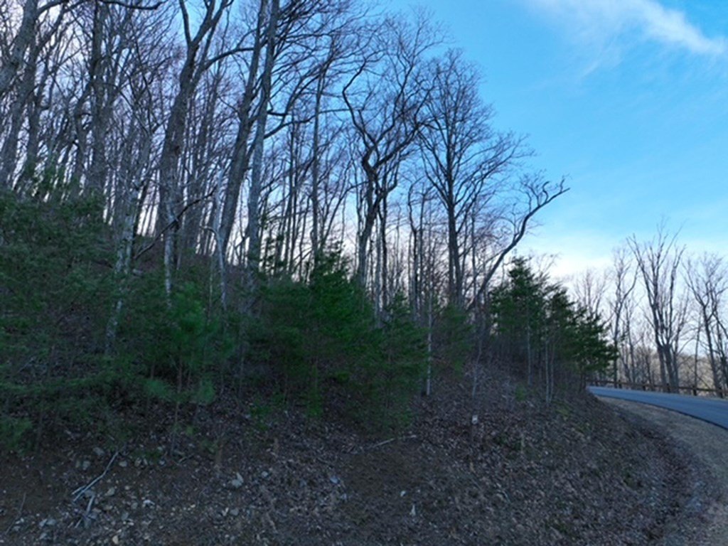 Picture 7