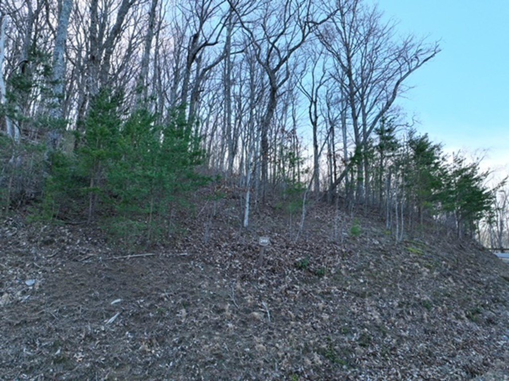 Picture 2