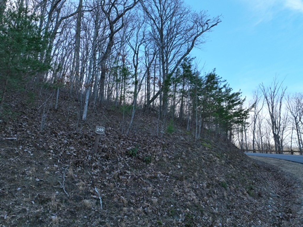 Picture 8