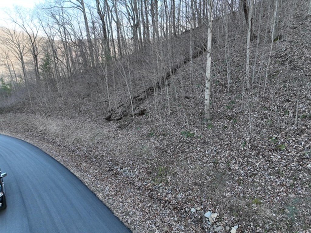 Picture 14