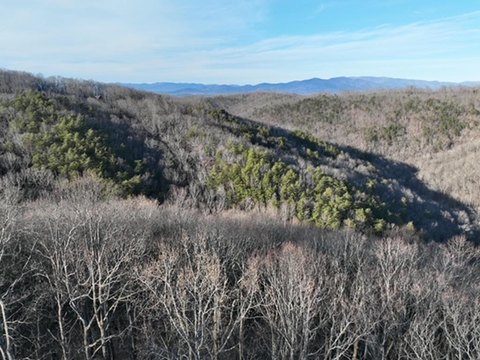 Vacant Lot - Ellijay, GA